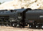 Mobile Preview: Trix H0 25984 US Dampflok Klasse 800 der Union Pacific "mfx/DCC/Sound" 