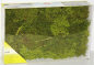 Preview: Heki H0/TT/N 1670 Blätterbäume und Büsche 15 Stück hellgrün 