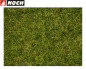 Preview: NOCH 07072 Grasmischung "Sommerwiese" 2,5 - 6 mm 50 g (1 kg - 229,80€) 