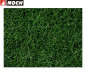 Preview: NOCH 07106 Wildgras dunkelgrün 6 mm 50 g (1 kg - 189,80 €) 