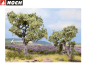 Preview: NOCH 21995 Olivenbäume, 6 und 9 cm hoch (2 Stück) 