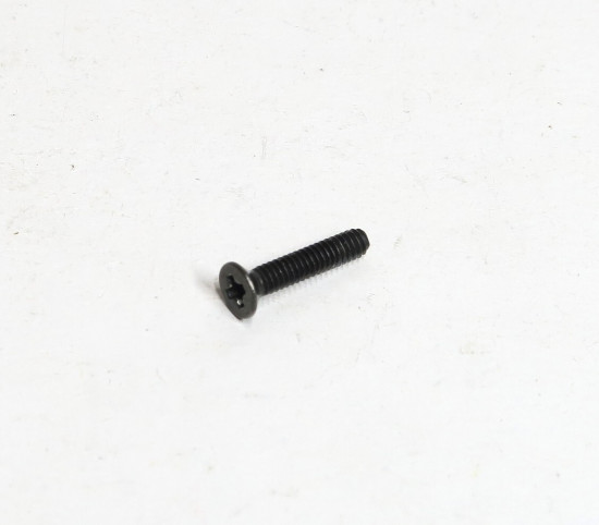 Roco H0 123744 SK-Schraube M2x10 mm 