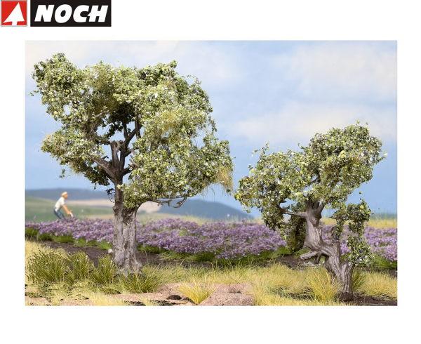 NOCH 21995 Olivenbäume, 6 und 9 cm hoch (2 Stück) 