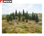 NOCH 26921 Modelltannen, 5 - 9 cm hoch (5 Stück) 